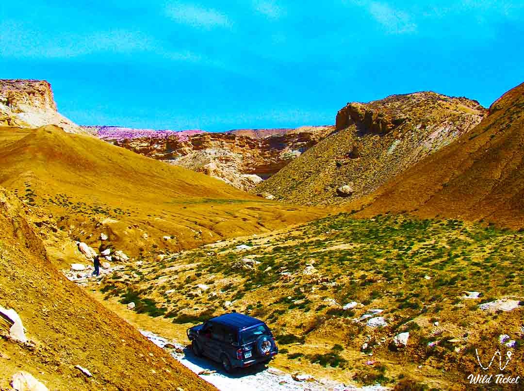 Mangyshlak上的Kogusem道