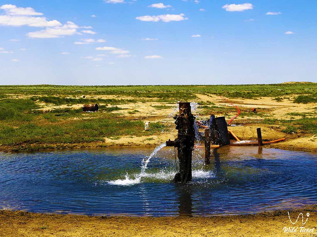 Родник Онере