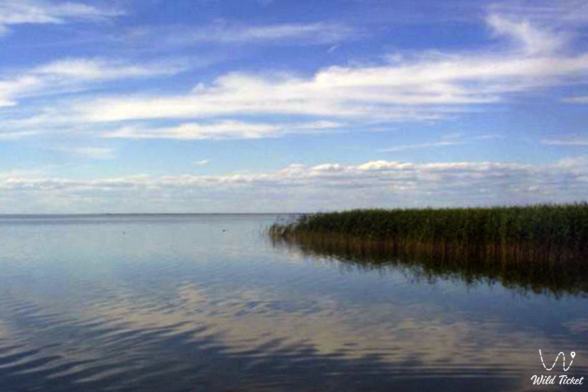Lake Tengiz