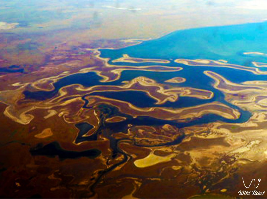 Korgalzhyn Nature Reserve WildTicket Asia Tourist Service In Kazakhstan
