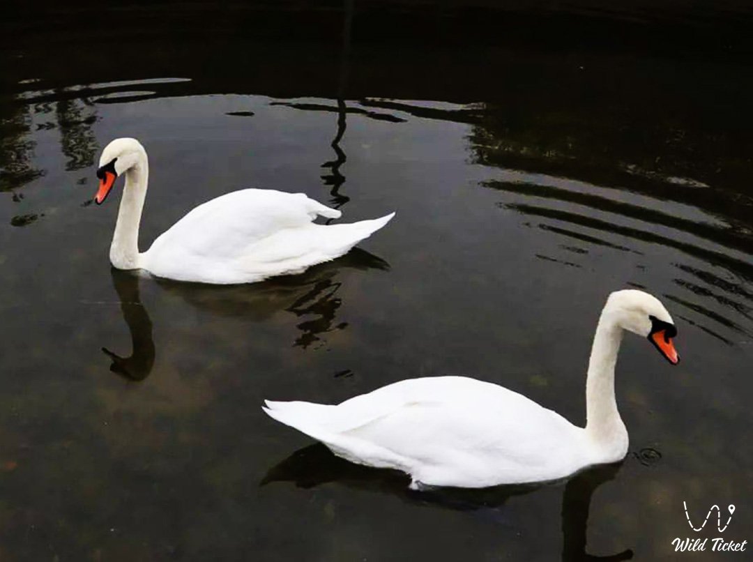 中央首都公园 – 阿斯塔纳