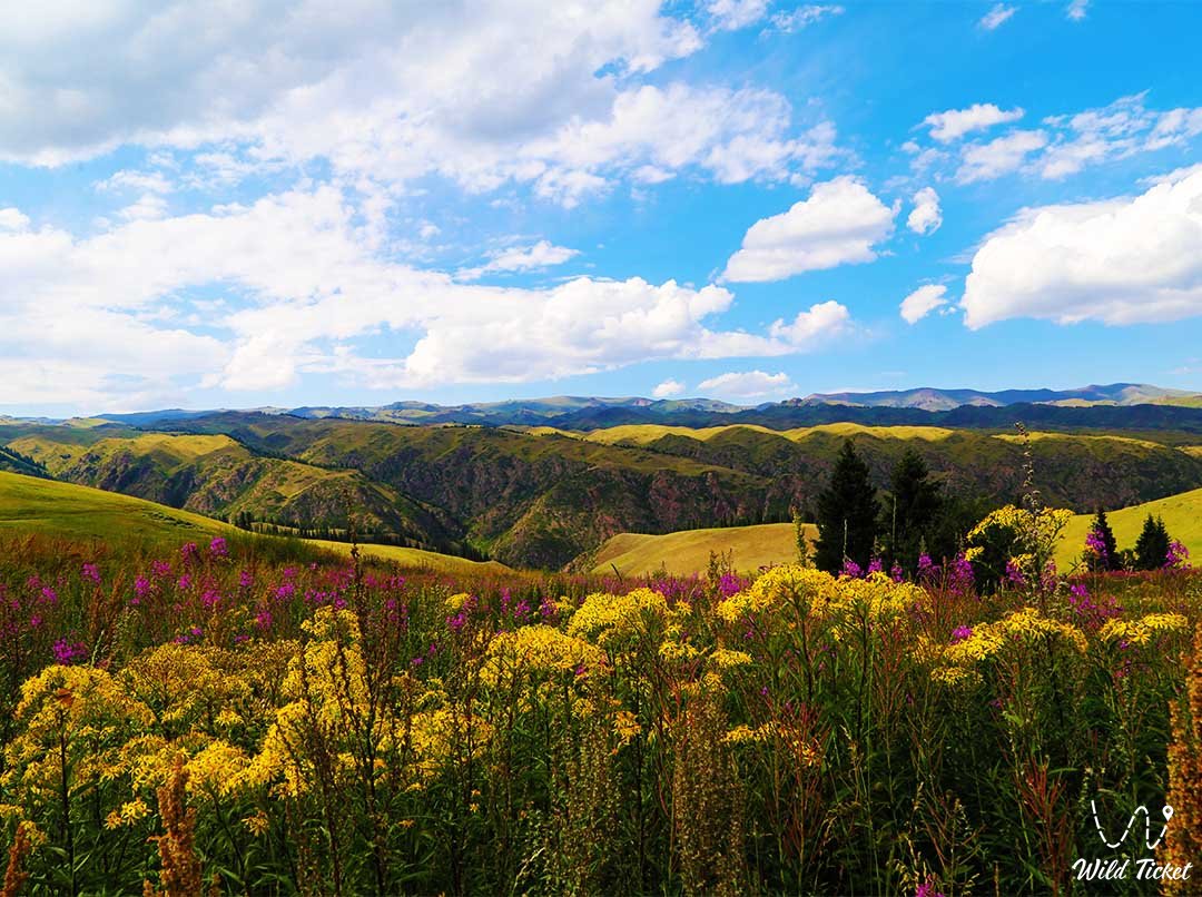 哈萨克斯坦的生态旅游