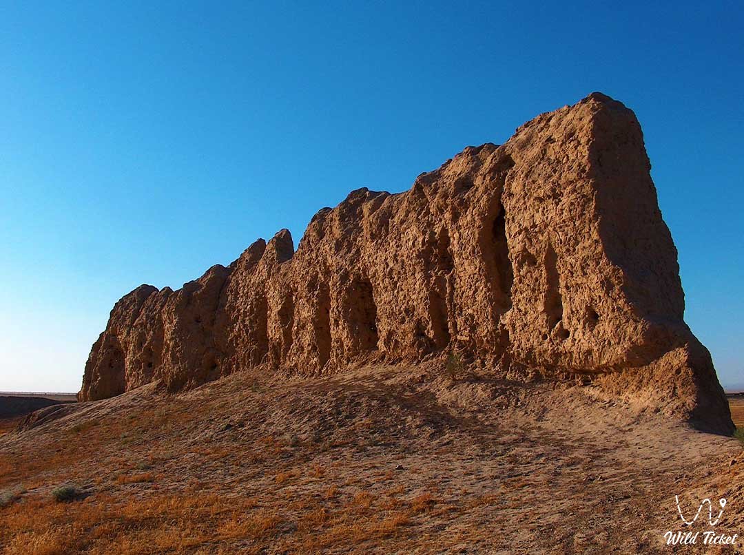 Sauran ancient city, settlement