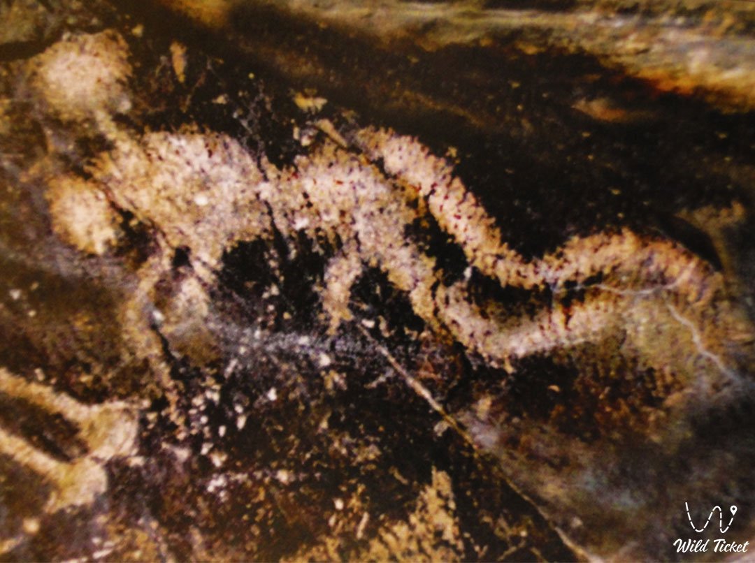 Sauyskandyk的岩画