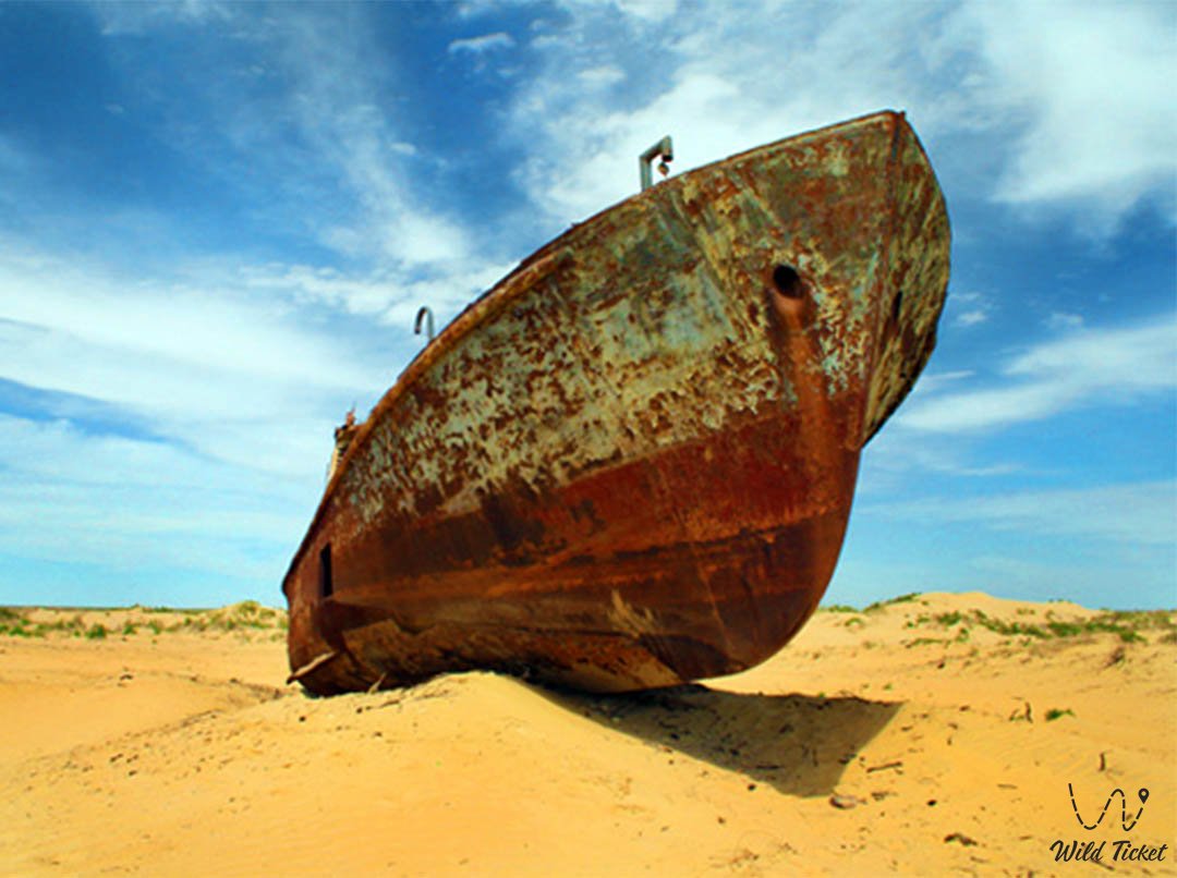 Lets save the Aral Sea (Aral Sea catastrophe)