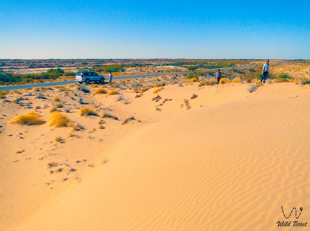 The Taukum Desert