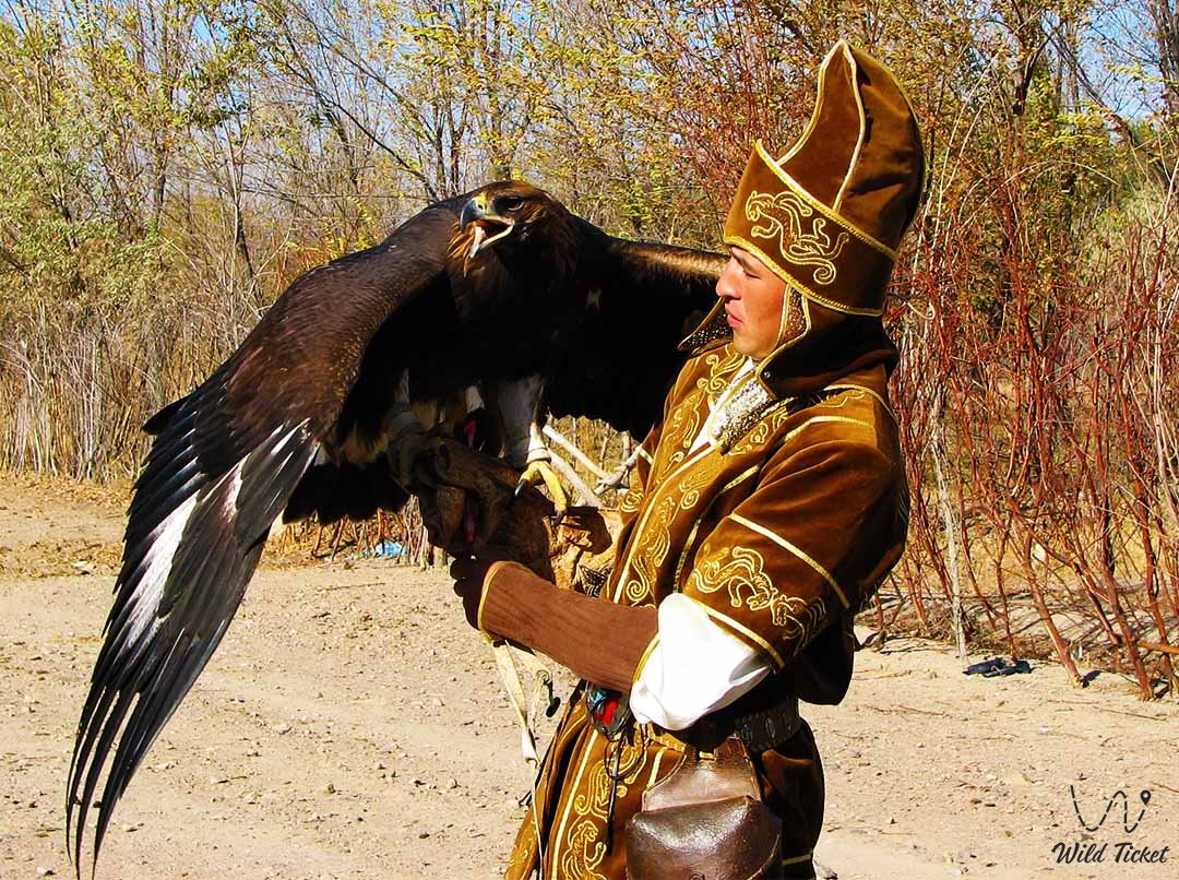Tour Eagles Hunting in Almaty region