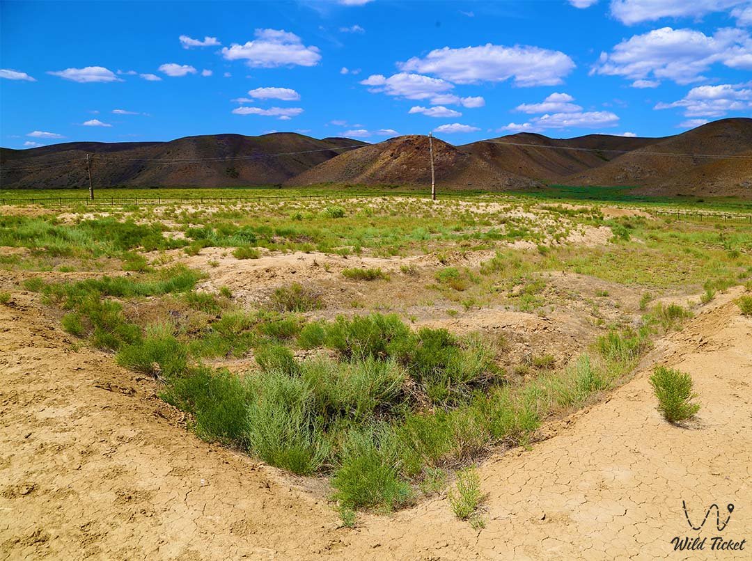Ayakkamyr settlement (ancient city)