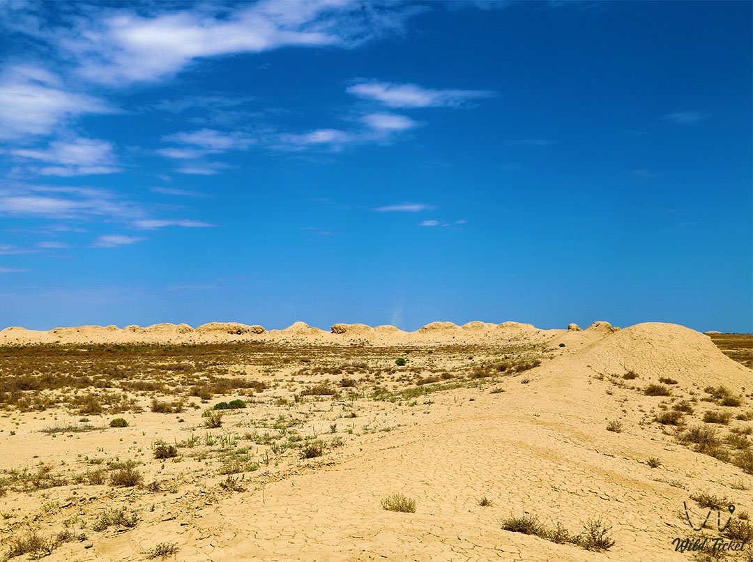 Bazar Asar的古老定居点