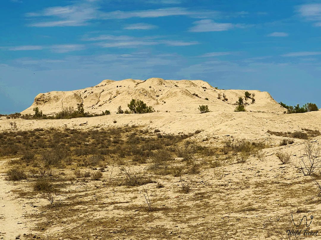 Kuraily Asar古定居点