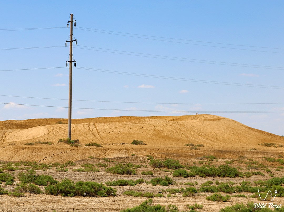 Monshakty Asar（Zhalagashtobe）的定居点