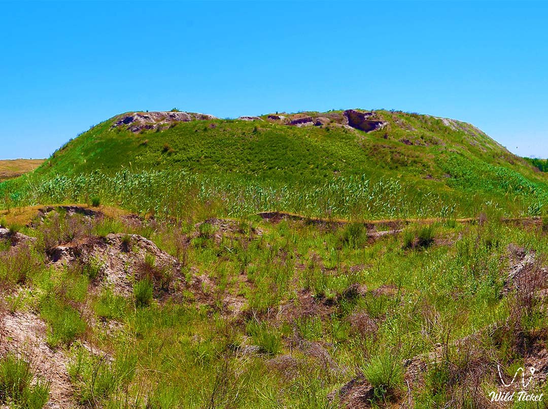 Zhuantobe Settlement