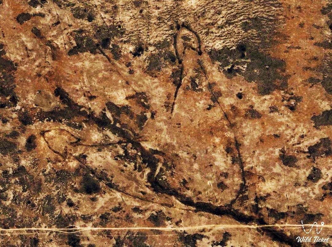 Stone arrows of Ustyurt