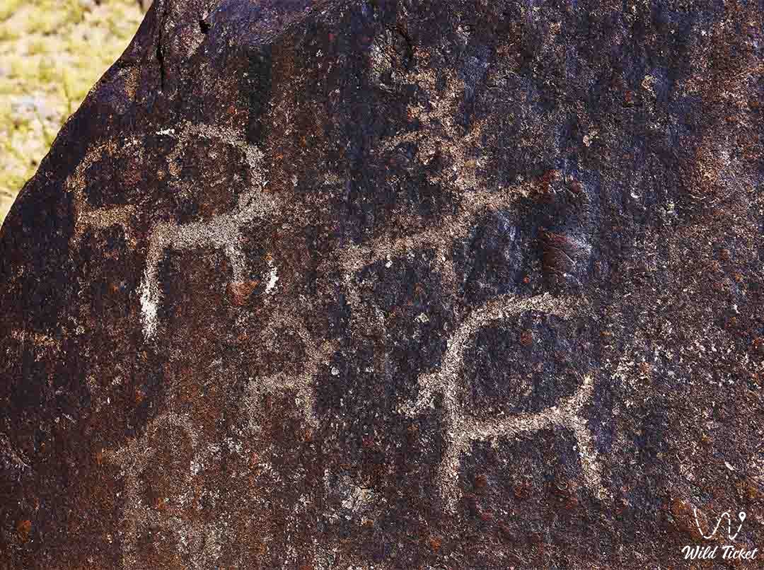 Petroglyphs on the Asy plateau, Zhaman Uy tract
