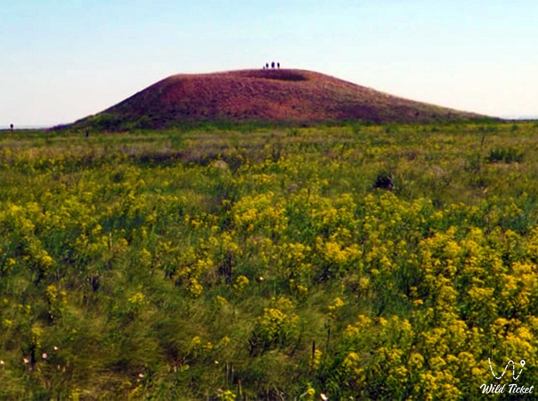 Курганы Кырык-Оба