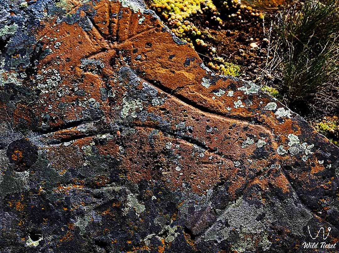 Olentinsky petroglyphs (rock carvings)