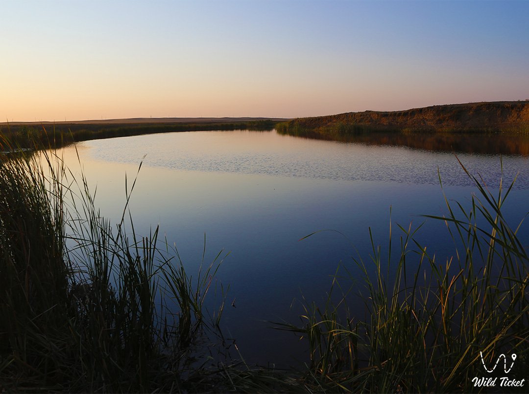 Irgiz河 (阿克托别地区)