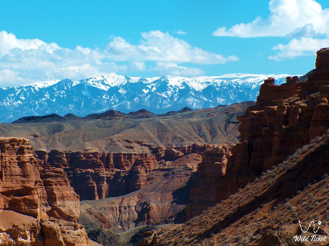 Charyn峡谷的城堡谷: 风和时间创造的自然现象