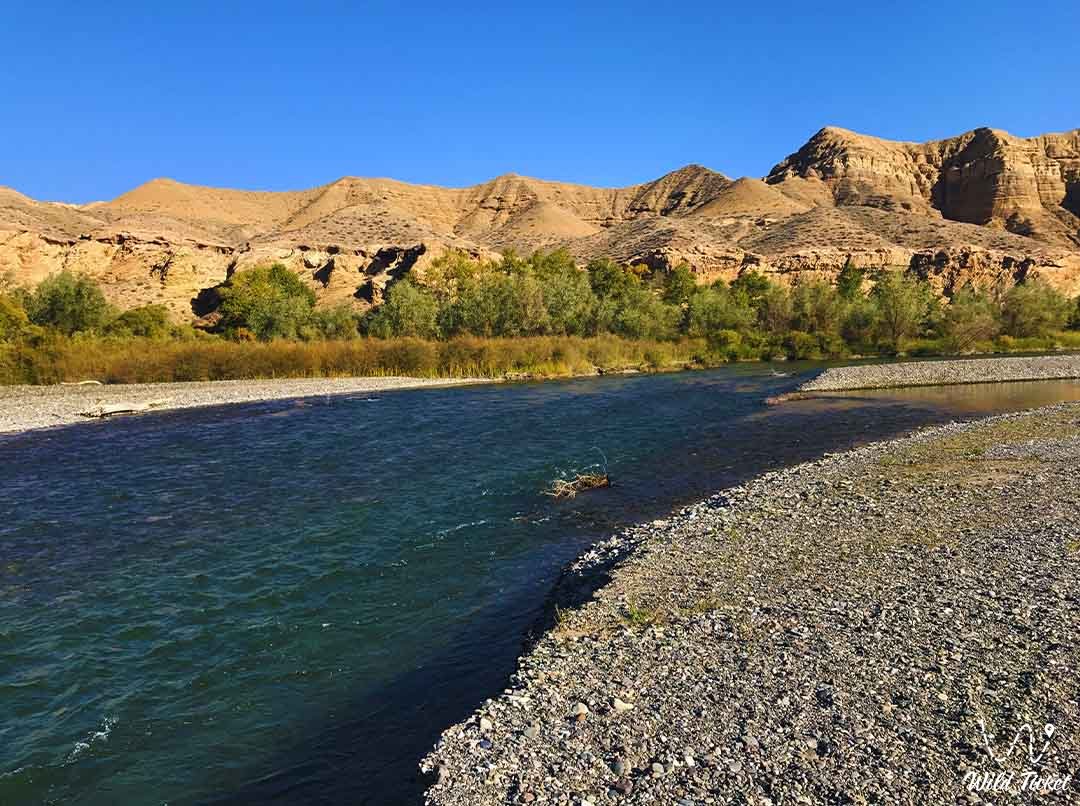 Charyn峡谷的Kurtogay (峡谷, 道) 区域
