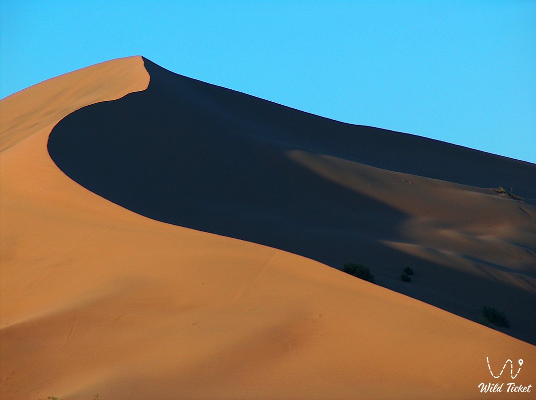 Поющий Бархан: Загадка золотых песков Алтын-Эмеля