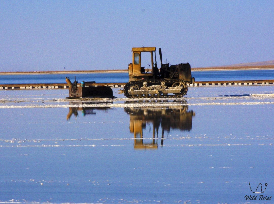 Zhaksykylysh湖 (咸海区)