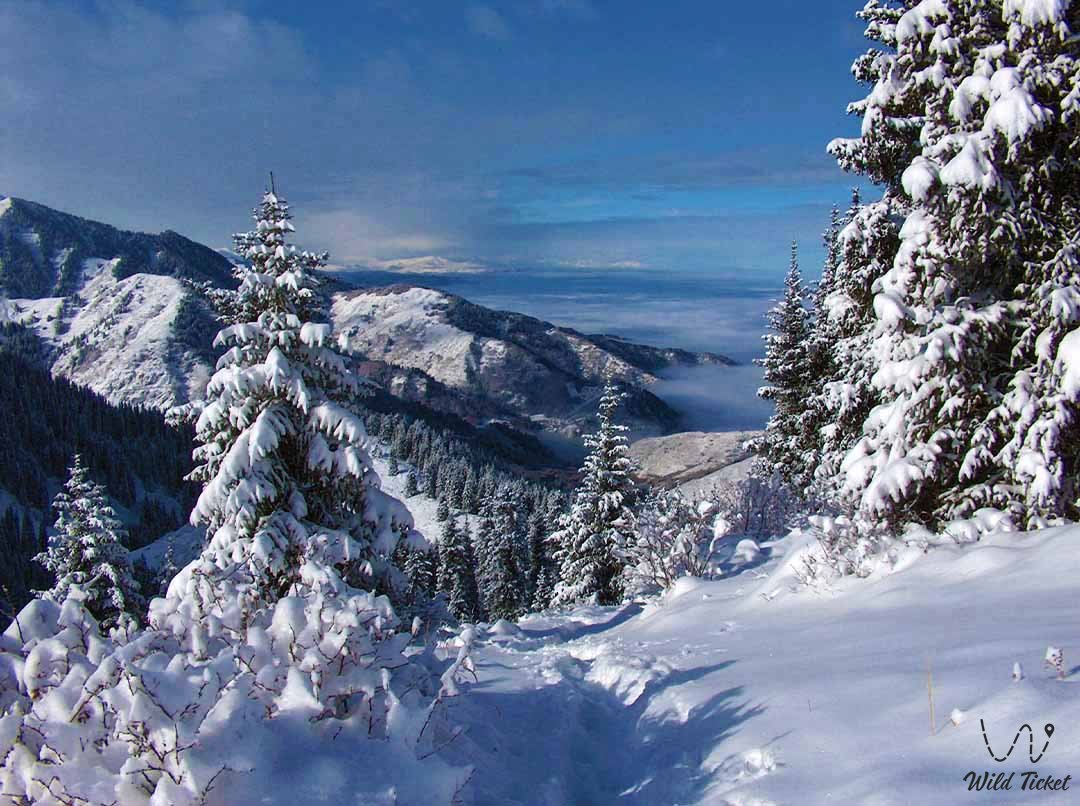 Kimasar Gorge (tract)