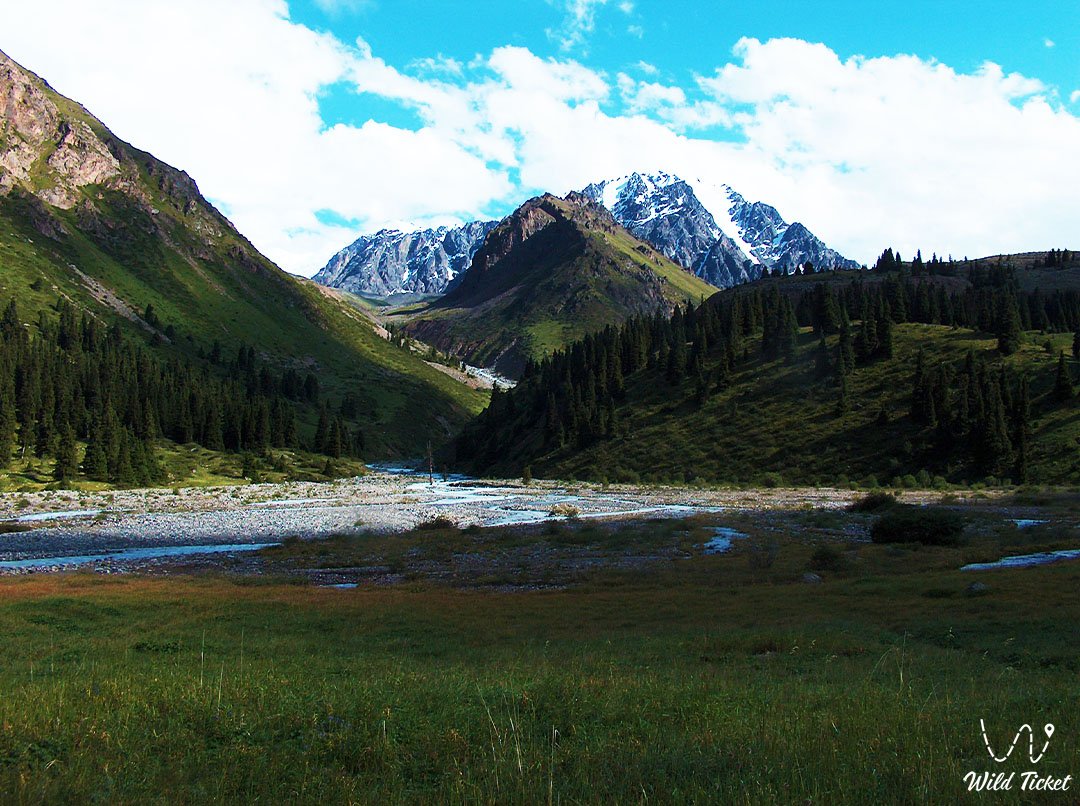 高山玫瑰林间空地 (左塔尔加)