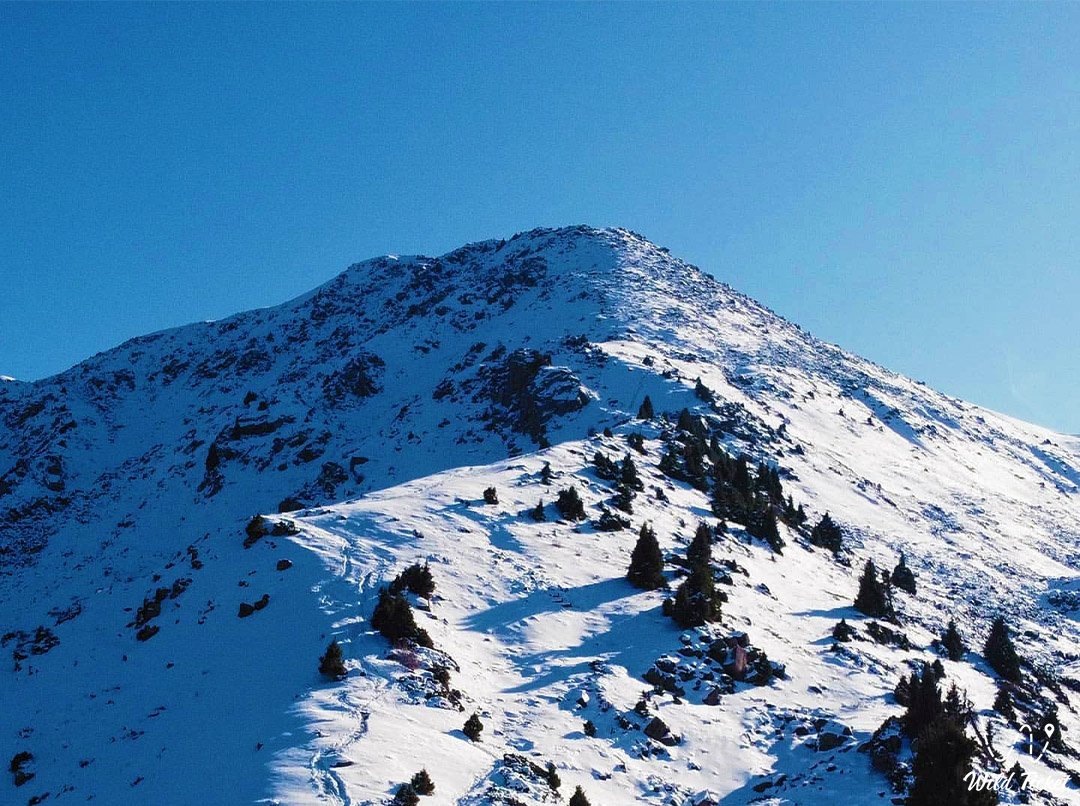 Furmanov Peak (trekking, hiking)