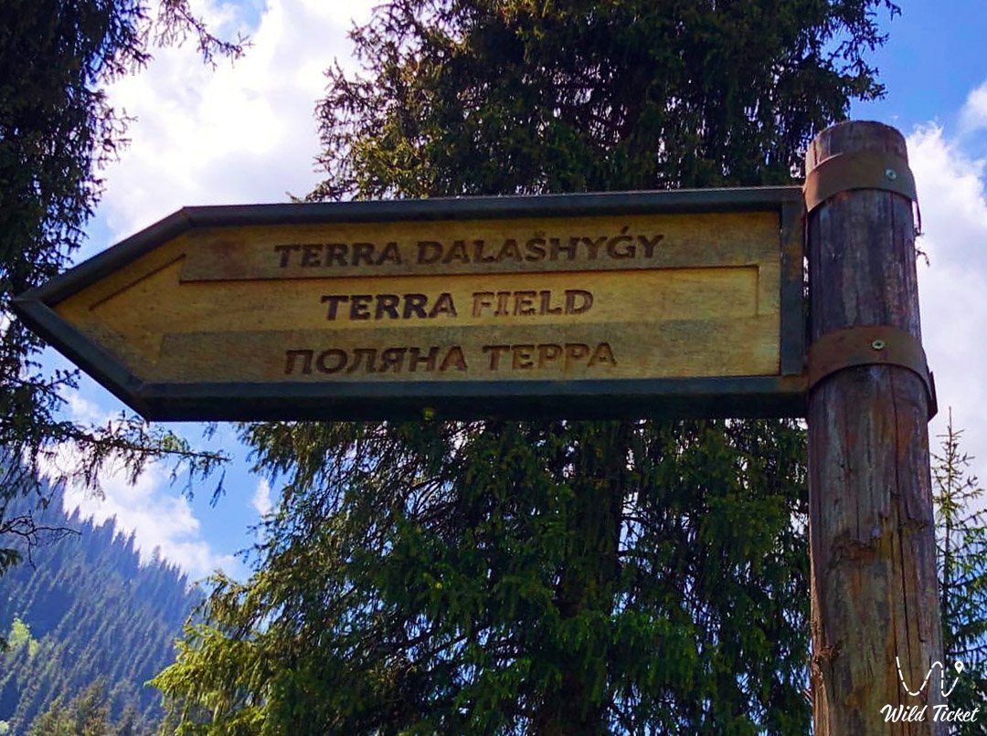 Terra 草甸 (如何到达那里, 山路)