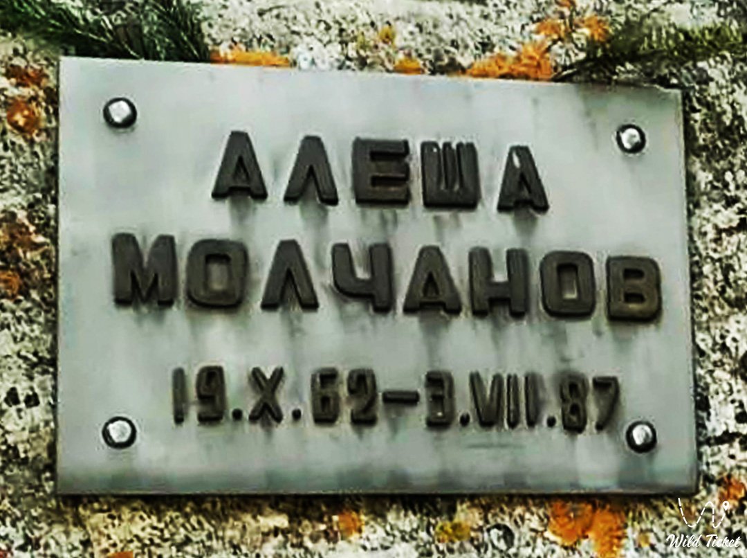 Terra林间空地上方的Aleshkin桥