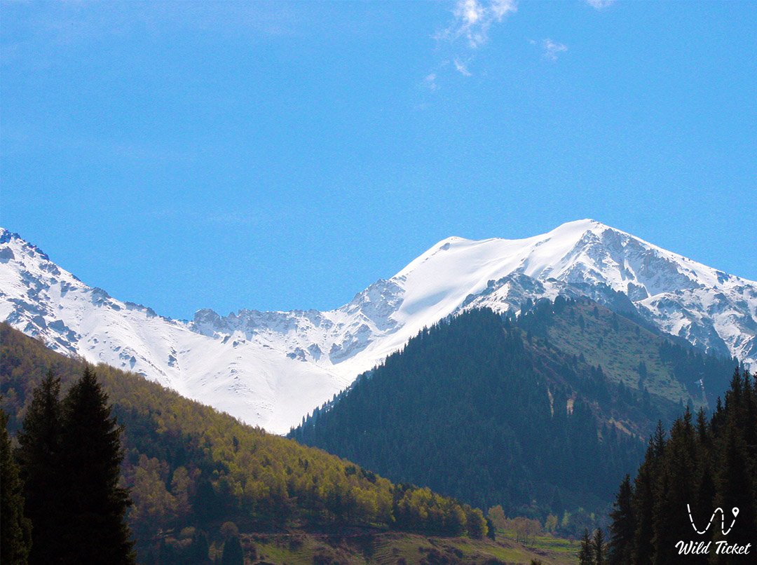 Molodezhny山口 (北部)