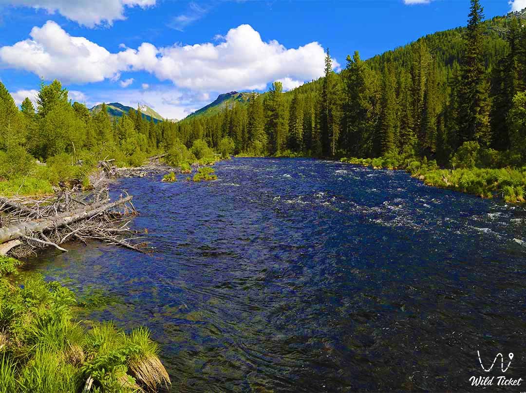 Arasan河的Katon-Karagay