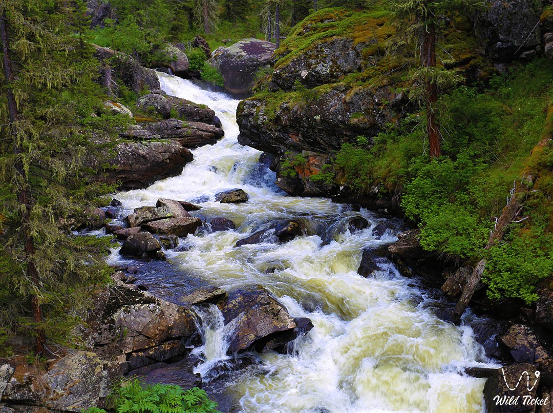 Yazevaya River (walk along the river)