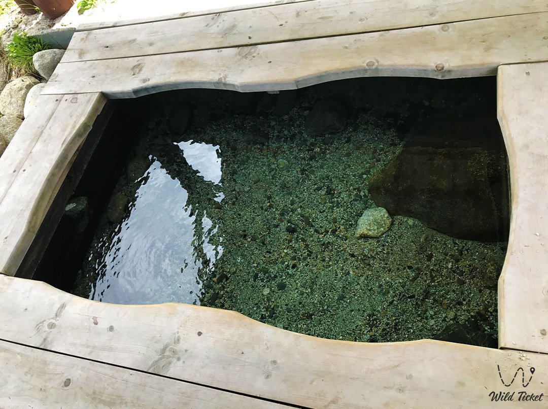 Rakhmanovskie Klyuchi (hot water spring)