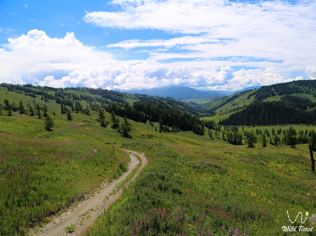 Alatay mountain pass (Austrian road)