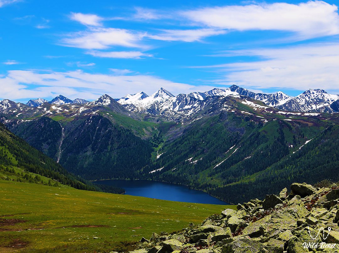 Altai Mountains (Katon-Karagay)