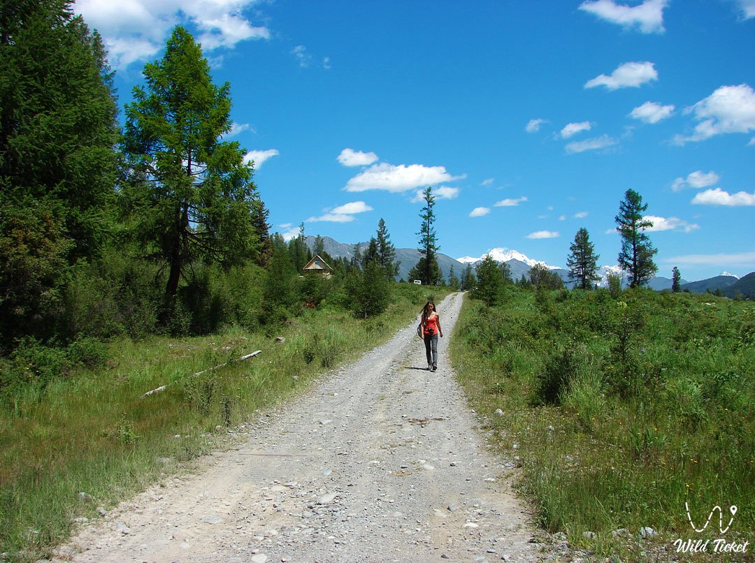 Katon-Karagai公园Yazevoe湖之路