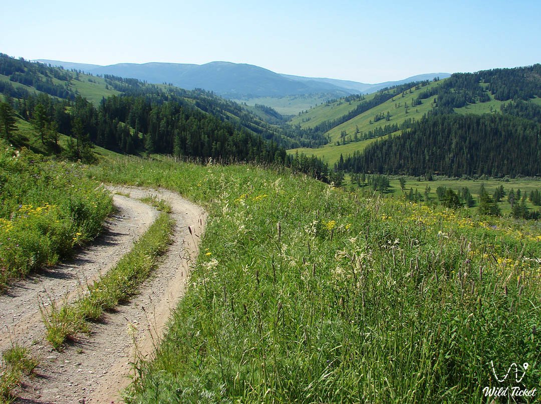 Road along mountain passes Alataysky and Burkhat