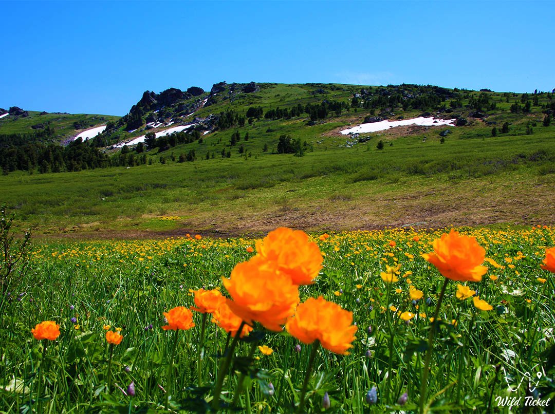 Восточный Казахстан (природа и путешествия)