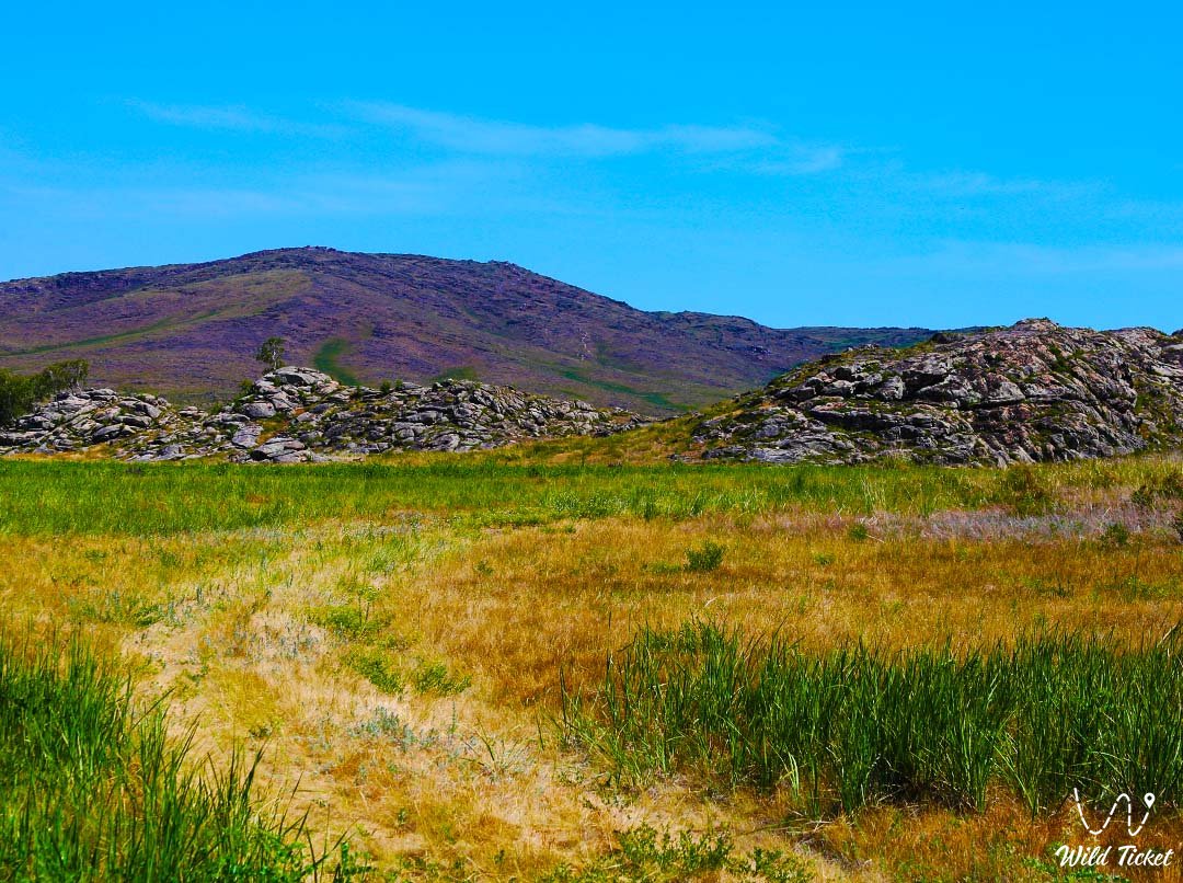 哈萨克斯坦Abai地区