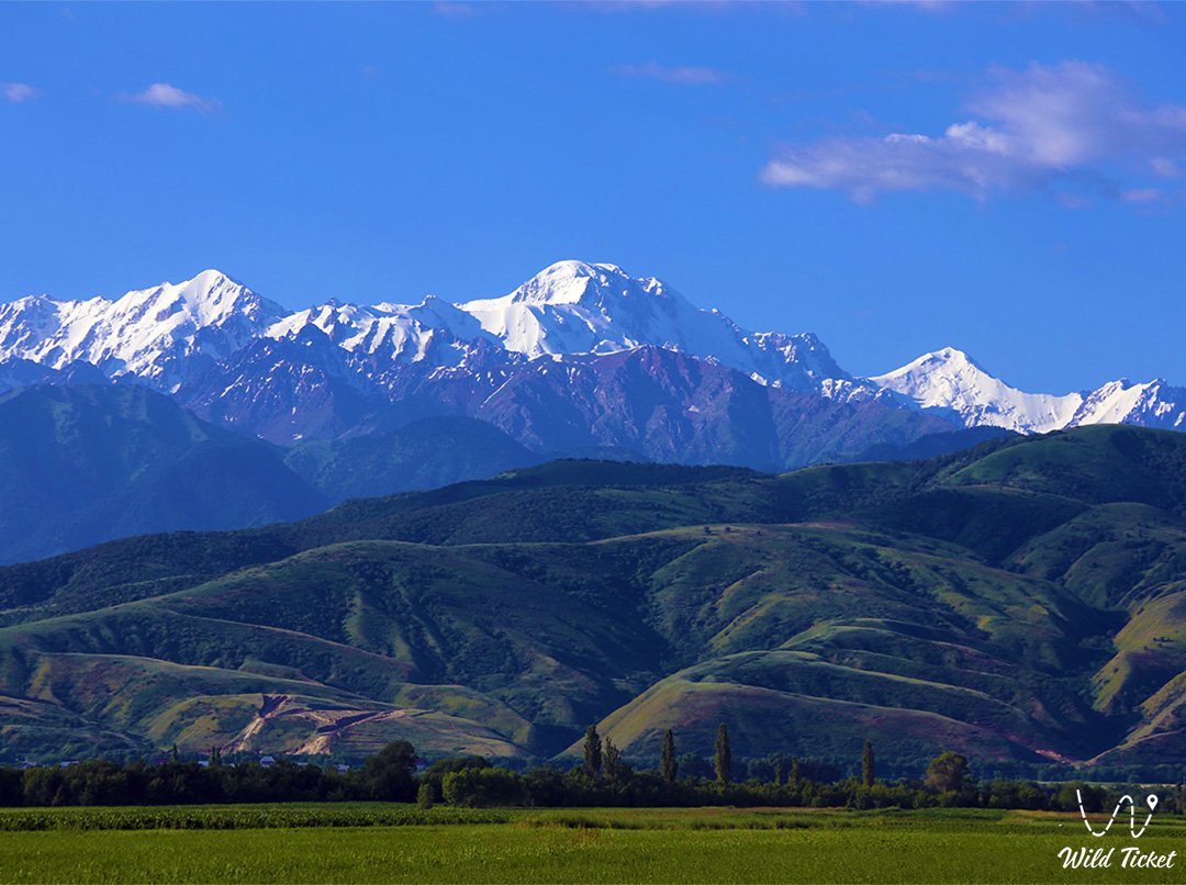 阿拉木图地区 (旅游和旅游)