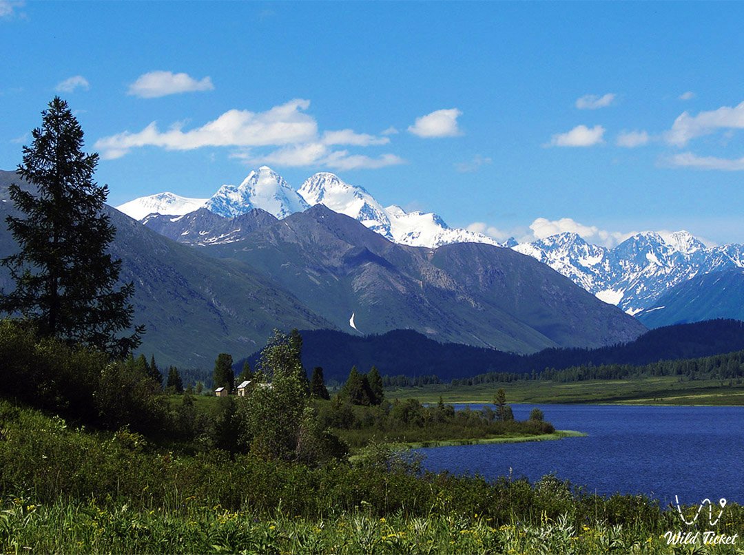 Tour to Lake Yazevoye and Mount Belukha (12 days)