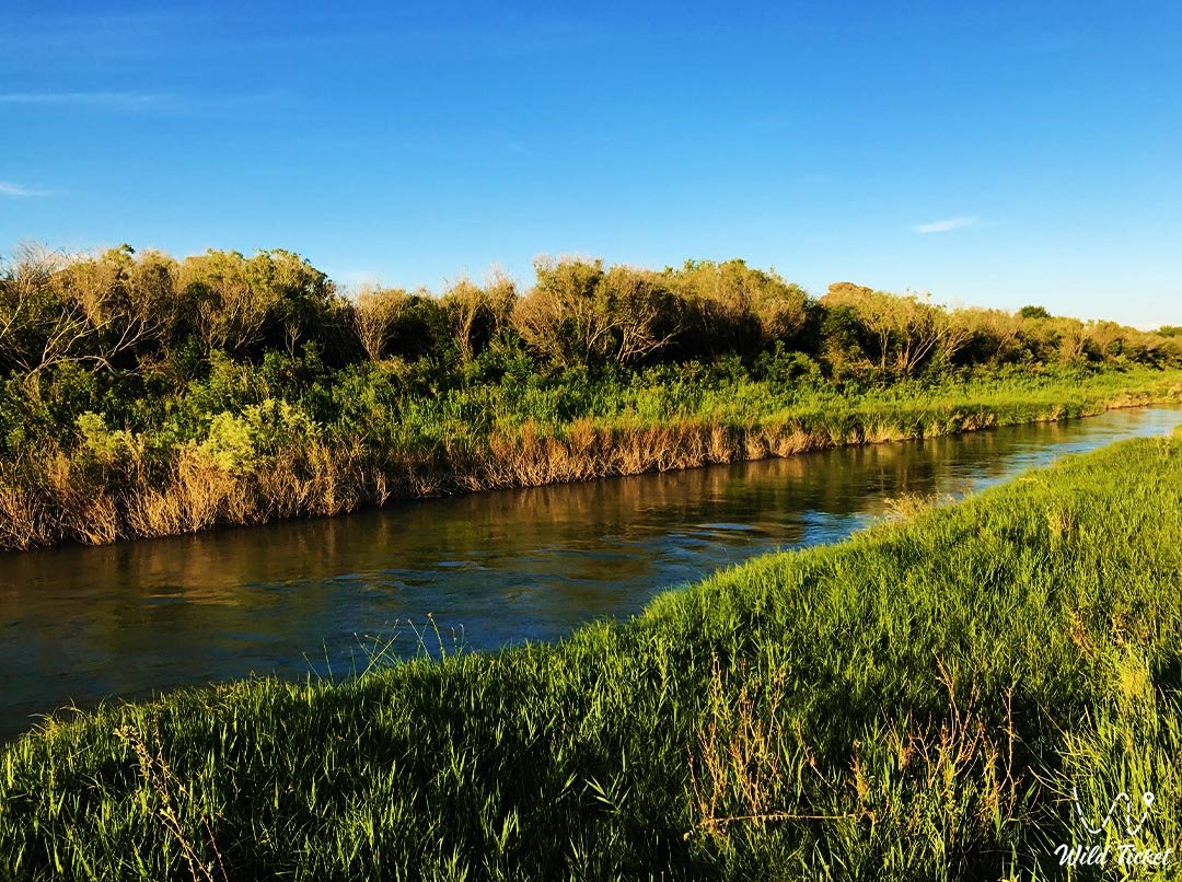 Река Ай: Природная красота Тарбагатайского края