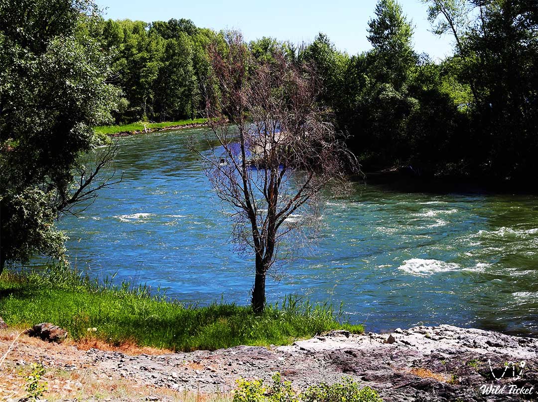 Река Курчум (правый приток Иртыша)