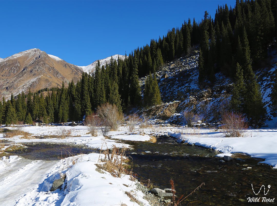 Bolshaya Almatinka River (Big Almaty)