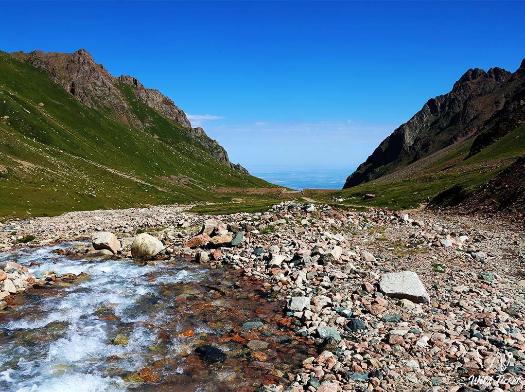 Горы Алматы: красота, мощь и вдохновение