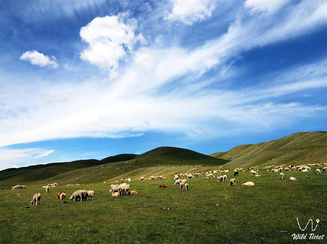 Almaty Nature Reserve (travel and routes)