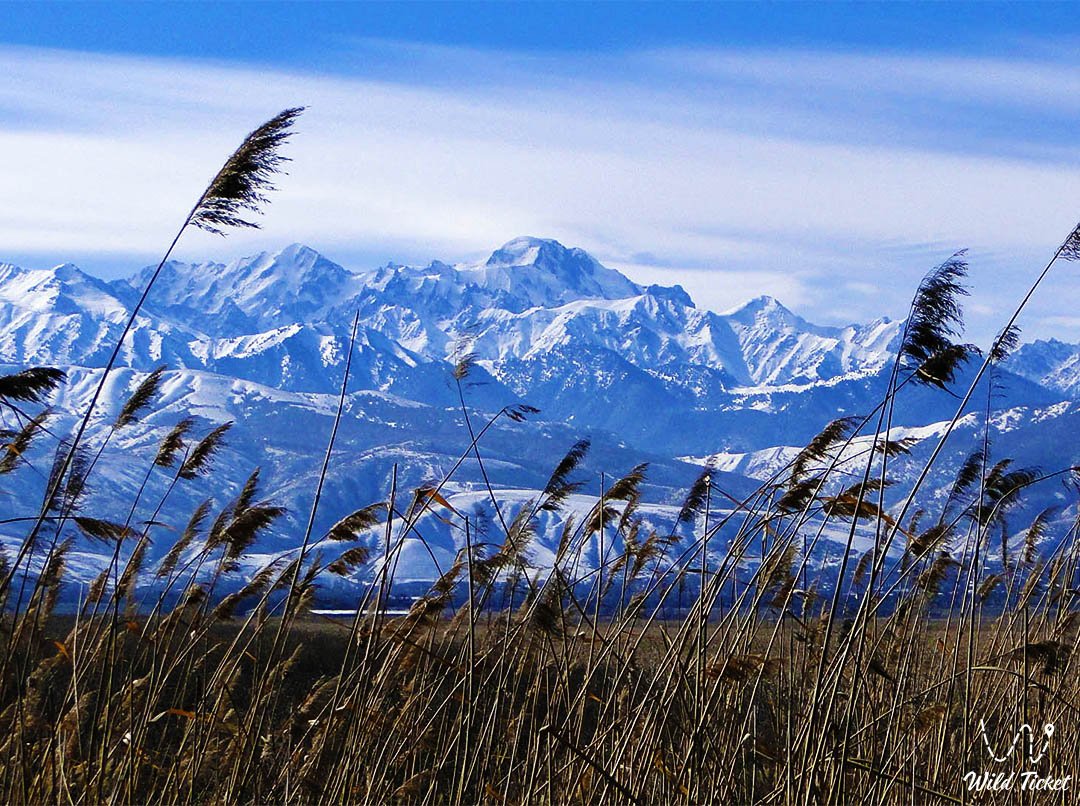 Заилийский Алатау (интересные места и маршруты)