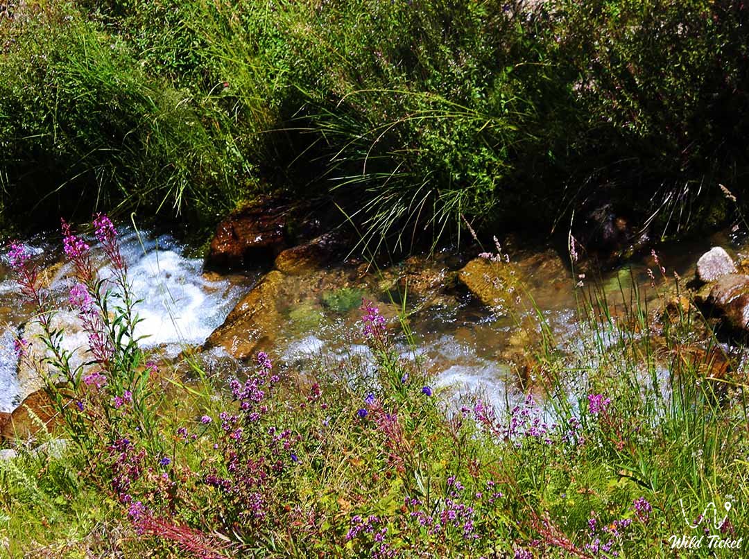 Butakovka River in Butakov Gorge