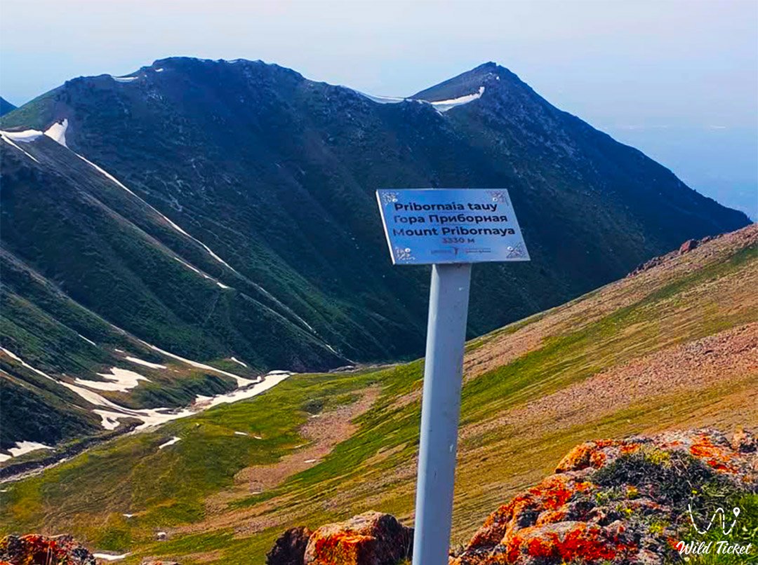 Mount Pribornaya (mountain hike and route)
